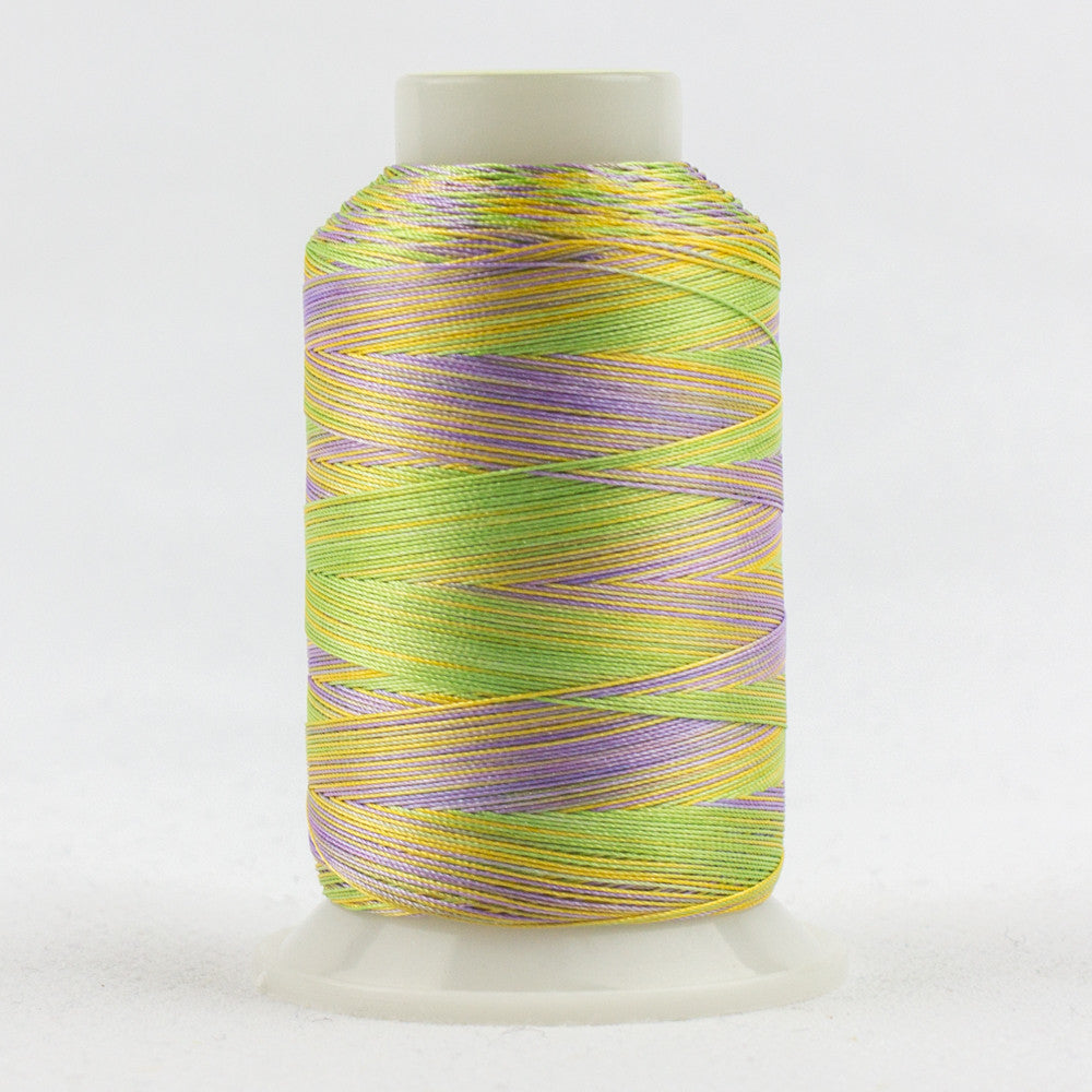 FB24 - Fabulux‚Ñ¢ 40wt Trilobal Polyester Springtime Thread WonderFil