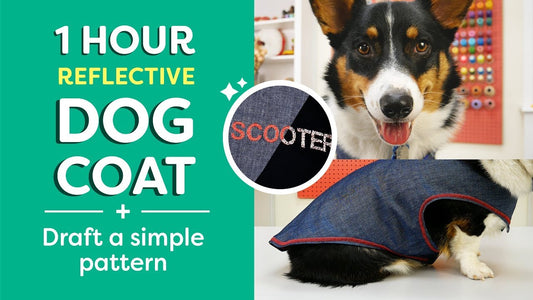 DIY High Visibility Dog Coat
