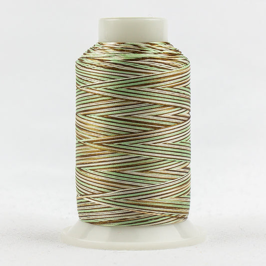 FB37 - Fabulux‚Ñ¢ 40wt Trilobal Polyester Mint Chocolate Chip Thread WonderFil