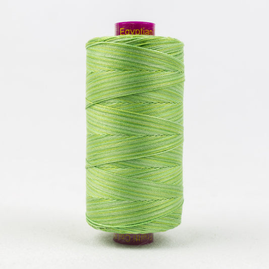 FT29 - Fruitti™ 12wt Egyptian Cotton Grass Thread WonderFil