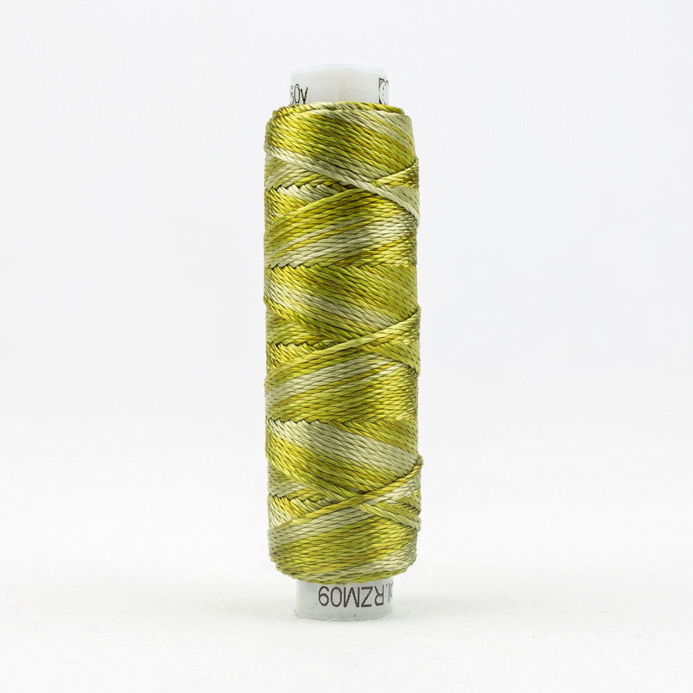SSRZM09 - Razzle‚Ñ¢ 8wt Rayon Marsh Grass Thread WonderFil